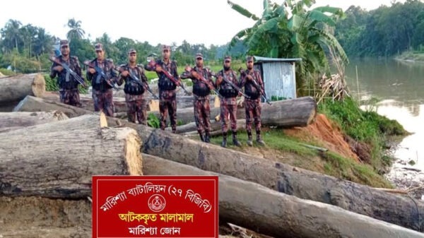 বিপুল পরিমাণ অবৈধ কাঠ জব্দ করেছে বর্ডার গার্ড বাংলাদেশ (বিজিবি)