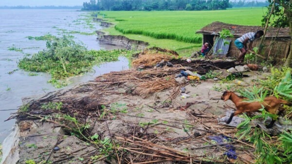 সুন্দরগঞ্জে তিস্তায় তীব্র ভাঙন, ঝুঁকিতে শতাধিক বসতবাড়ি 