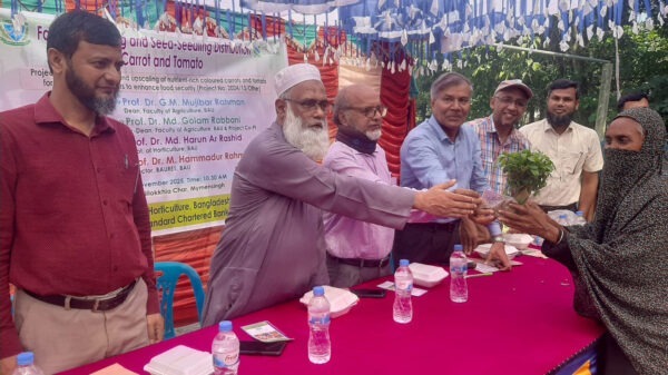 উচ্চফলনশীল গাজর–টমেটো উৎপাদনে কৃষকদের পাশে বাকৃবি