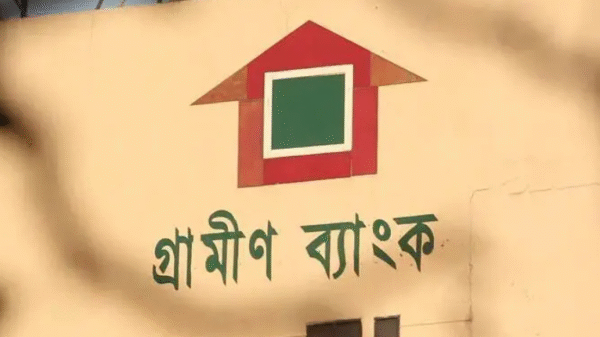 বিজয়নগরে গ্রামীণ ব্যাংকে দুর্বৃত্তদের আগুন, আসবাব ও নথি পুড়ে ছাই