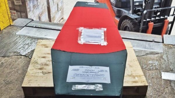 সর্বসাধারণের জন্য ঢাবির কেন্দ্রীয় মসজিদে আনা হবে শহীদ ওসমান হাদি