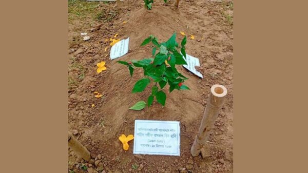 যা লেখা আছে শহীদ হাদির এপিটাফে