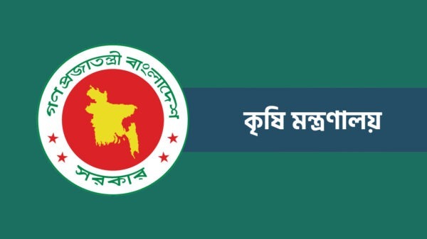 সীমিত আকারে পেঁয়াজ আমদানির অনুমতি ৭ ডিসেম্বর থেকে