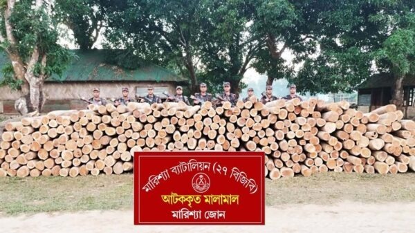 বাঘাইছড়িতে বিজিবির বিশেষ অভিযানে প্রায় ৯ লাখ টাকার অবৈধ সেগুন কাঠ জব্দ